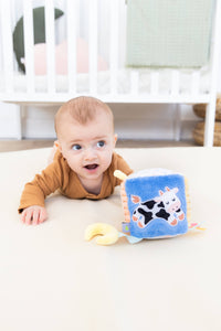 0-6 Months Learning Kit 8 piece Developmental Toys