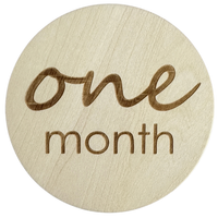Baby Monthly Milestone Photo Prop Cards (24 milestones)