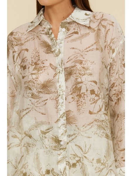 Cera Button Down