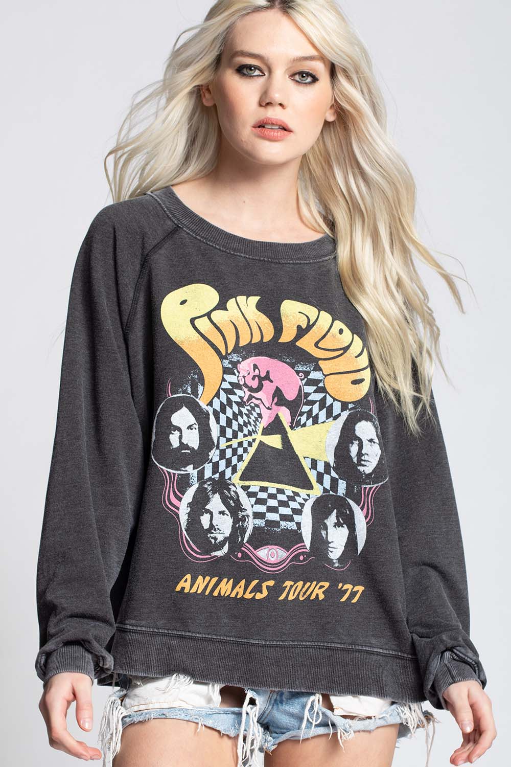 Pink Floyd Pullover