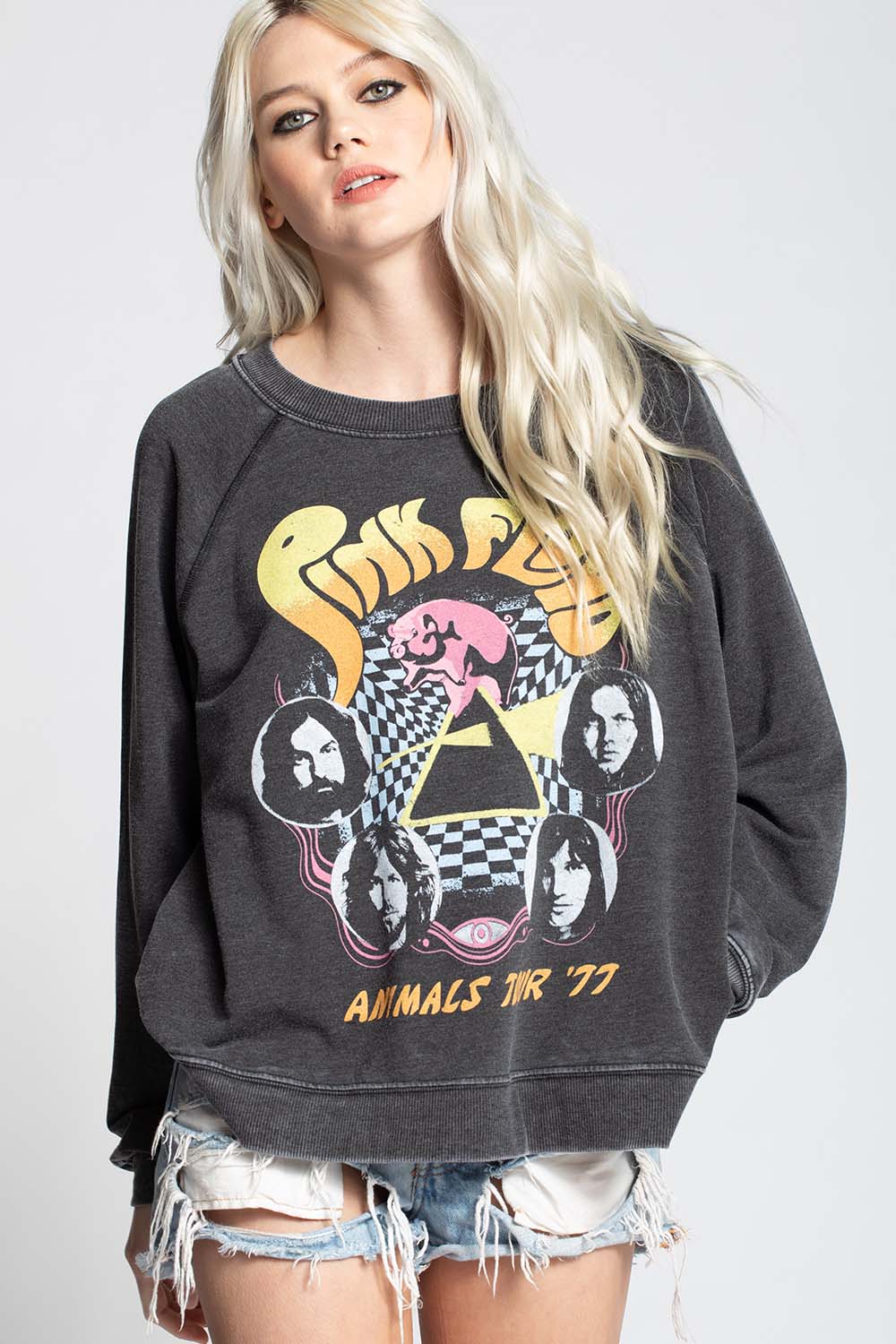 Pink Floyd Pullover