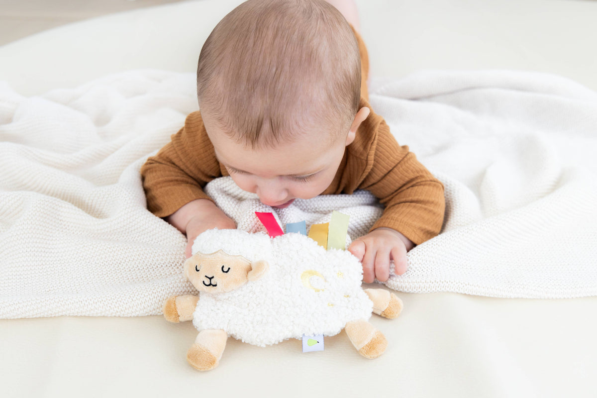 0-6 Months Learning Kit 8 piece Developmental Toys