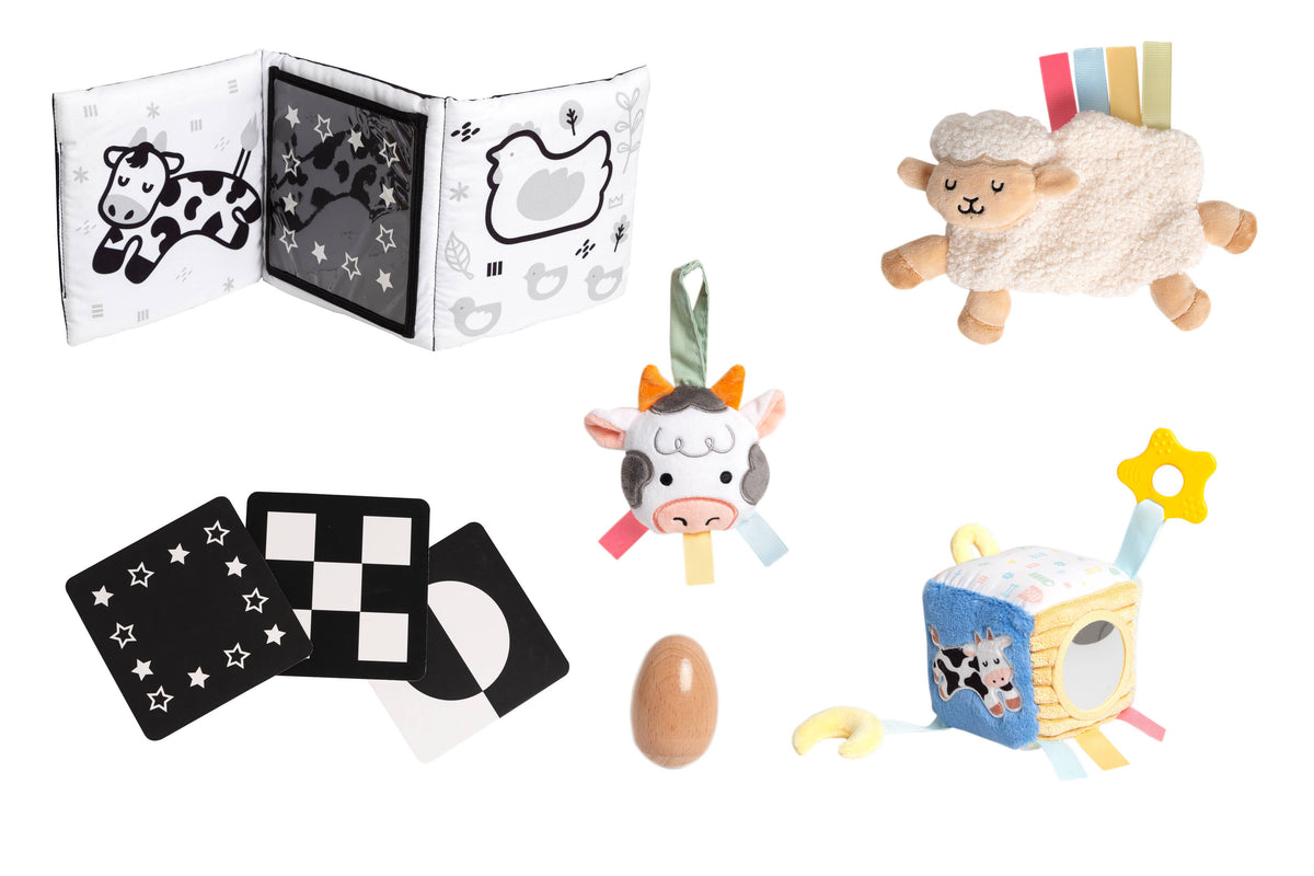 0-6 Months Learning Kit 8 piece Developmental Toys