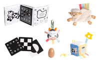 0-6 Months Learning Kit 8 piece Developmental Toys