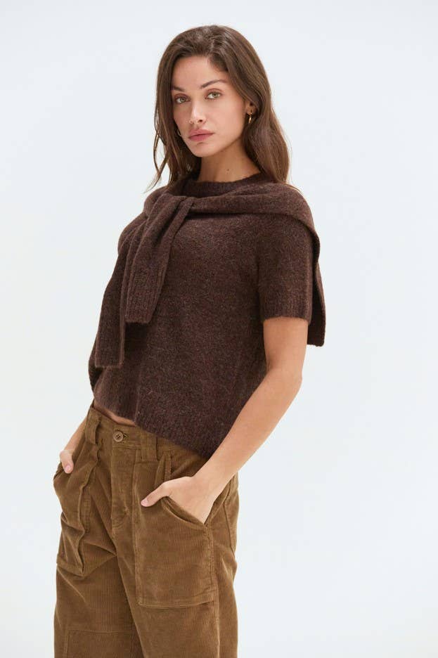 Remi Short Sleeve Faux Scarf Overlay Knit Top