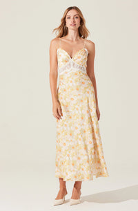 Ivanna Dress