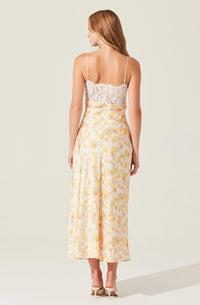 Ivanna Dress