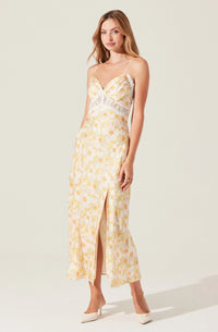 Ivanna Dress