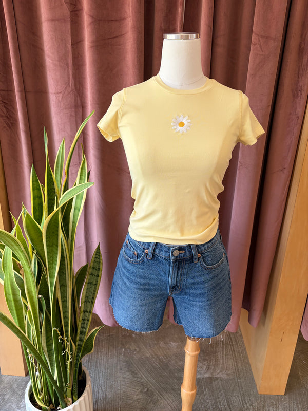 Embroidered Tees by ABEDNEGO - Assorted Styles