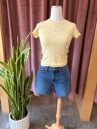 Embroidered Tees by ABEDNEGO - Assorted Styles