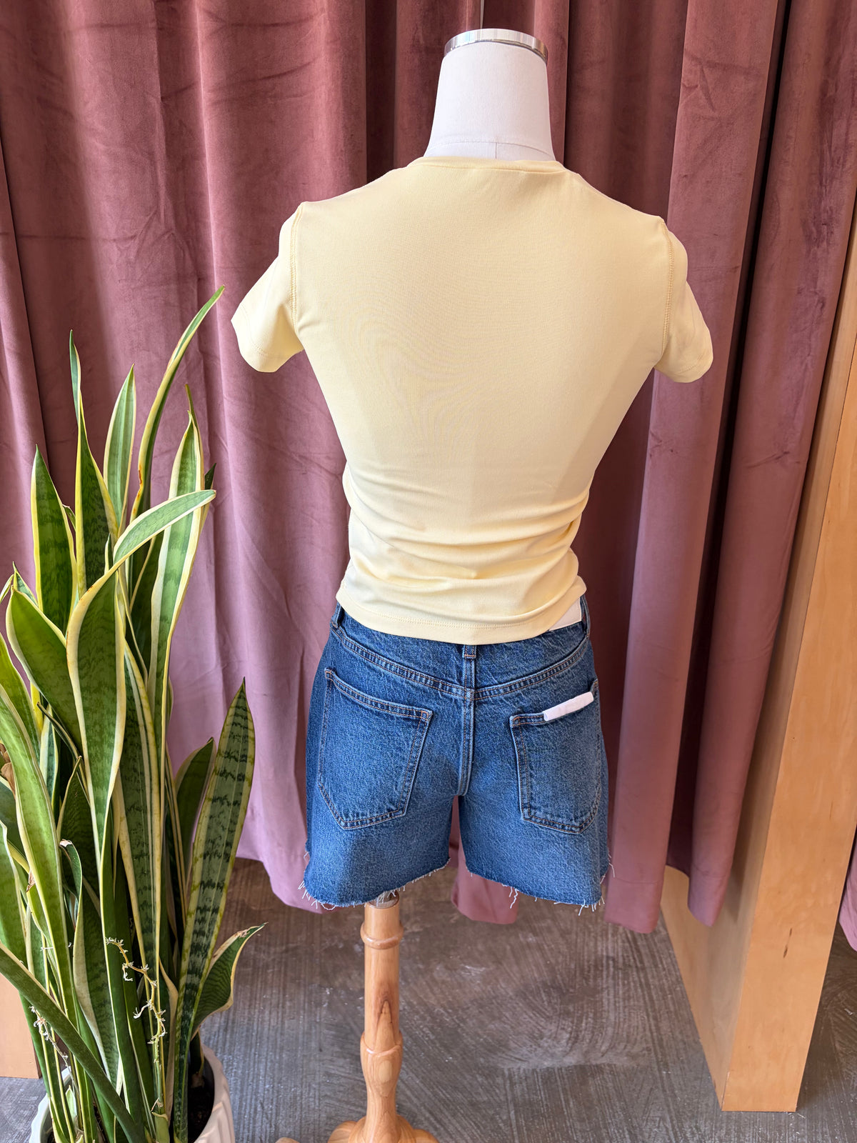 Embroidered Tees by ABEDNEGO - Assorted Styles