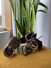 Ocicat Bordeaux Belt