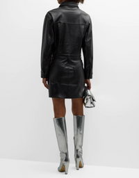 Nina Dress