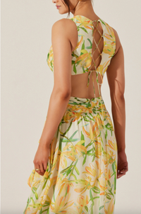 Noya Dress