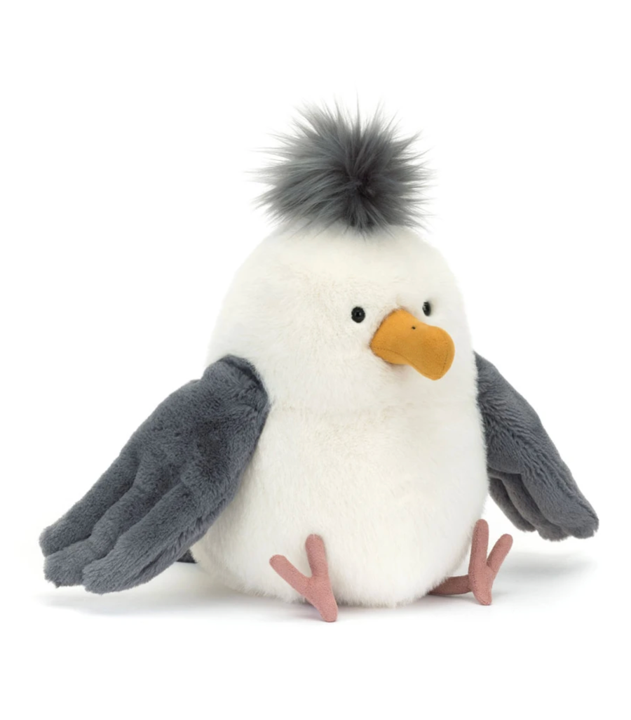 Chip Seagull
