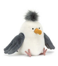 Chip Seagull