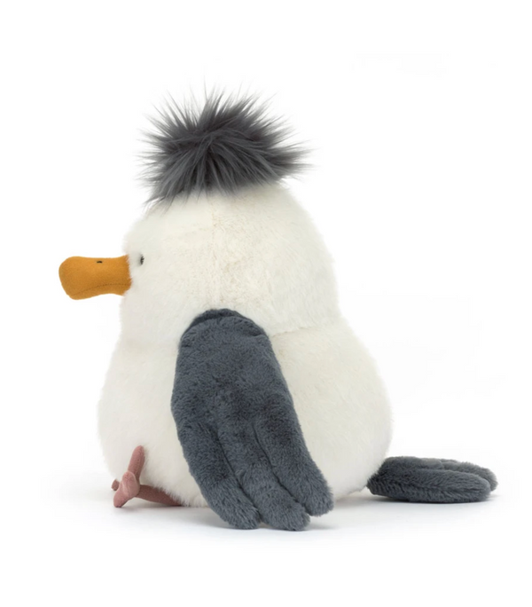 Chip Seagull