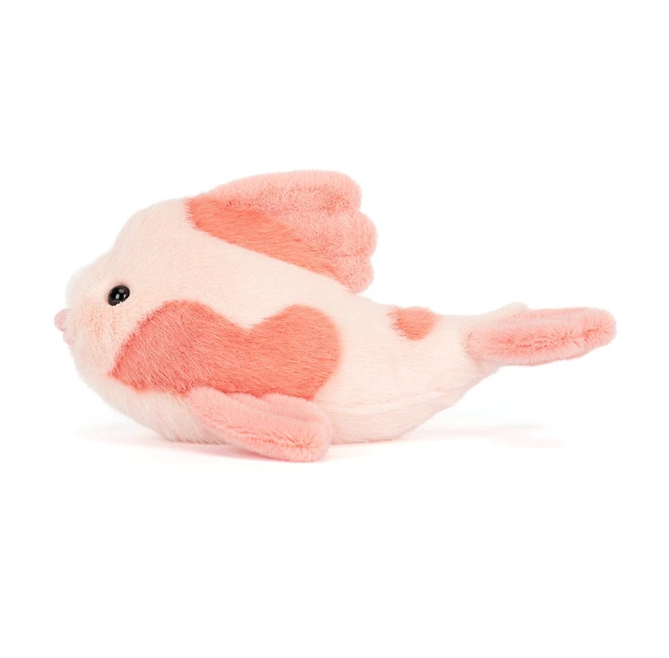 Fancy Carp