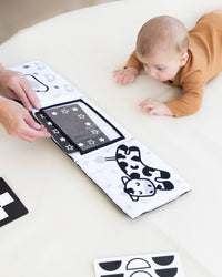 0-6 Months Learning Kit 8 piece Developmental Toys