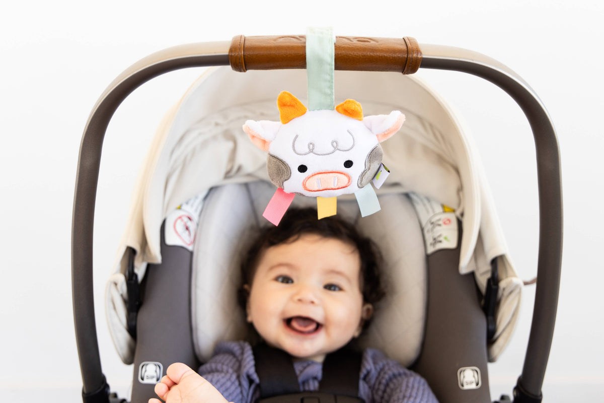 0-6 Months Learning Kit 8 piece Developmental Toys