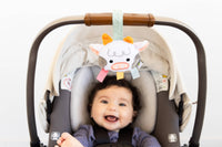 0-6 Months Learning Kit 8 piece Developmental Toys