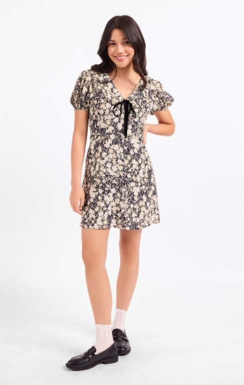 Painted Fields Dress