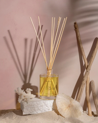 Brooklyn Candle Studio Diffuser - Assorted Scents